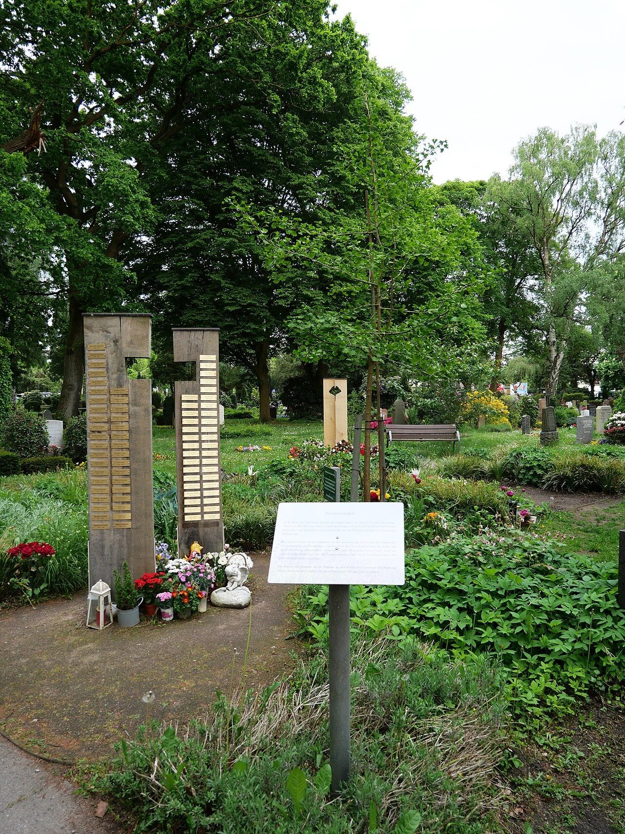 Lavendelfeld auf Friedhof Tonndorf